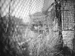 Кадър от филма „Нито крачка назад". Снимка – екип/Борис Славков