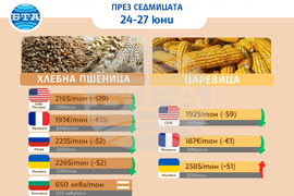 Цени на основни зърнени стоки по световните борси и на ССБ през седмицата 24 - 27 юни