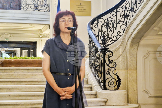 Изложбата с творби на Владимир Гоев е знакова за Националната галерия, каза директорът Анелия Николаева