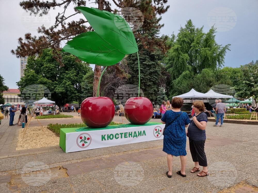 В Кюстендил бе поставено началото на тридневния „Празник на черешата“