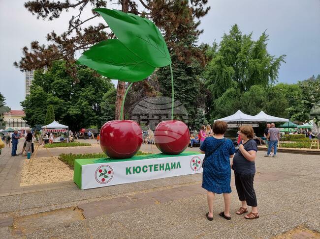 В Кюстендил бе поставено началото на тридневния „Празник на черешата“