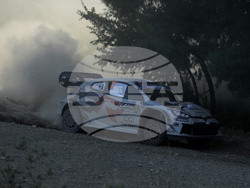 Greece WRC Acropolis Rally