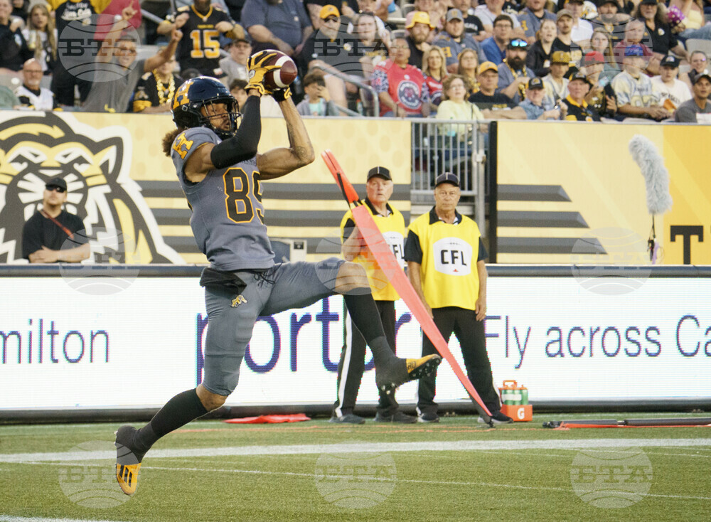 Alouettes Tiger Cats Football