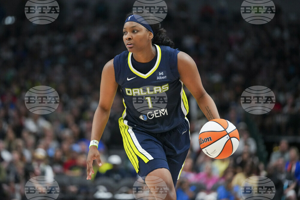 Fever Wings Basketball