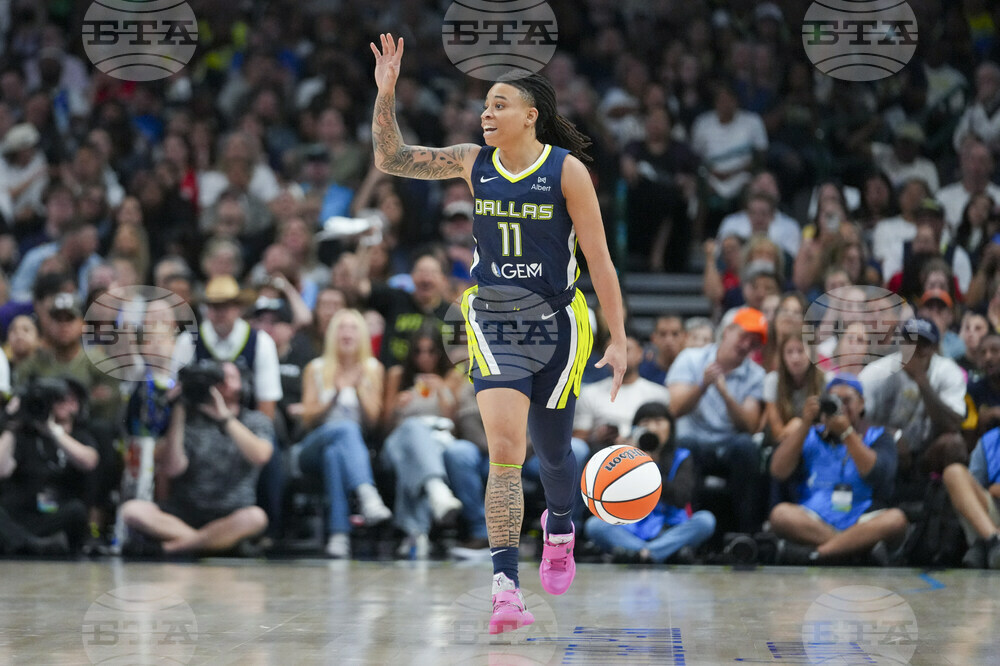 Fever Wings Basketball