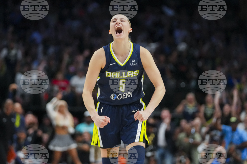 Fever Wings Basketball
