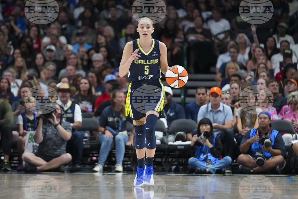 Fever Wings Basketball