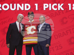 NHL Hockey Draft