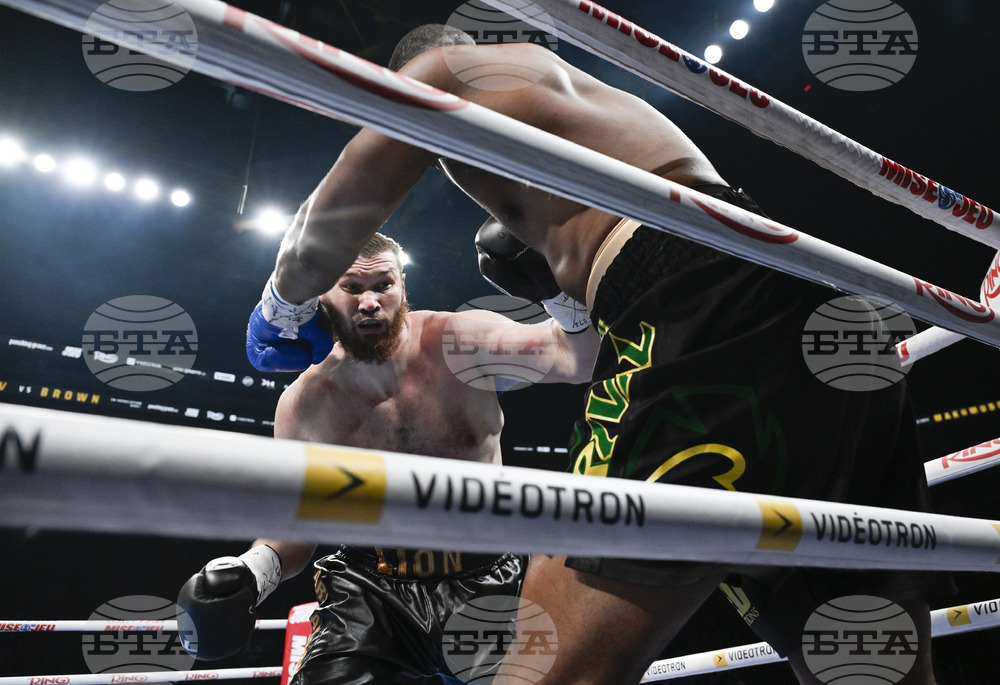 Quebec Makhmudov Brown Boxing