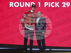 NHL Hockey Draft