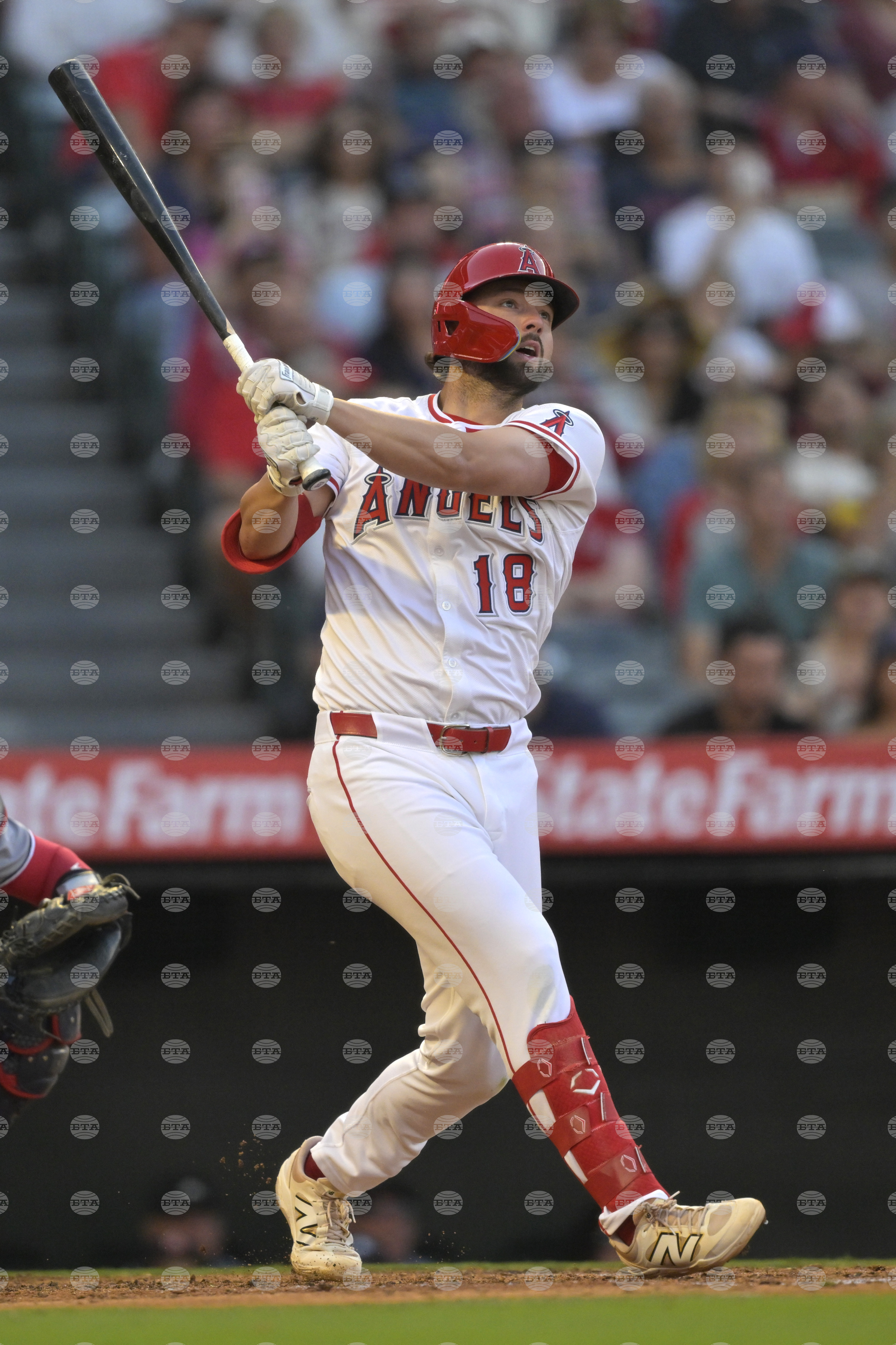 Nationals Angels Baseball