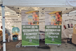 Пловдив - галерия - изложение на фермери