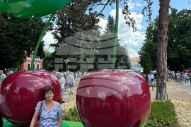 Кюстендил - „Празник на черешата“