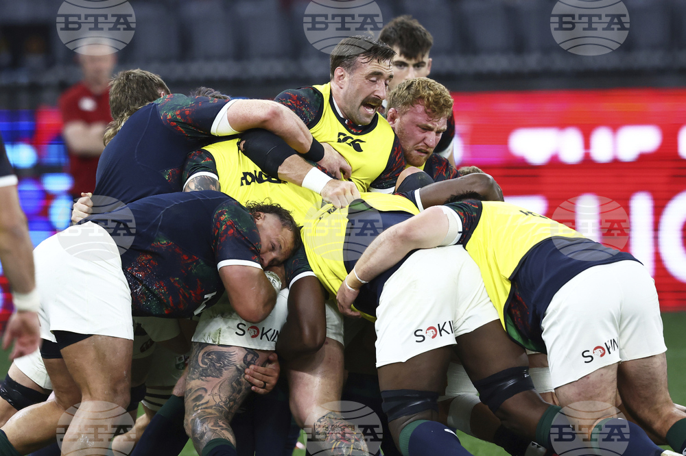 Australia Lions Rugby