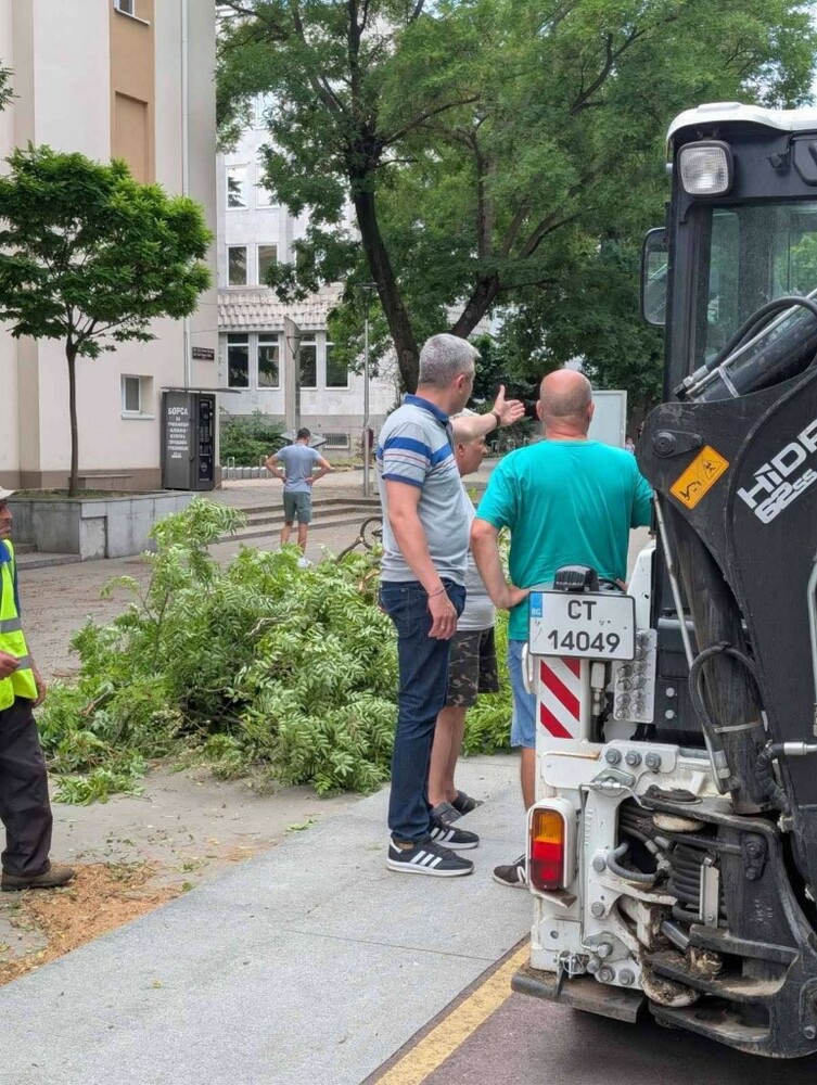 Община Стара Загора: Няма сериозни щети след бурята, 7 екипа и 2 вишки работят от сутринта на терен
