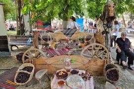 Кюстендил - Празник на черешата