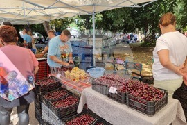 Кюстендил - Празник на черешата