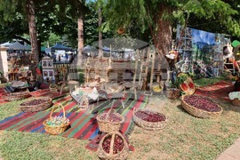 Кюстендил - Празник на черешата