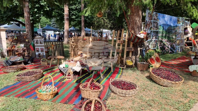 Kyustendil Kicks Off Three-Day Cherry Festival