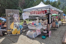 Кюстендил - Празник на черешата