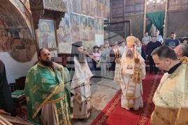 Брезник - патриарх Даниил - света литургия