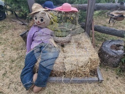 Село Балканец - 20-ти „Празник на билките, планината и туризма“