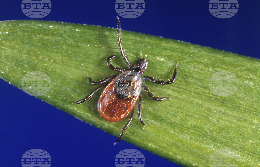 Be Well Ticks