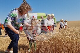 Село Манастирище - старт на жътвената кампания