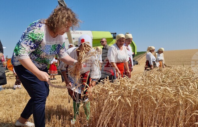 Село Манастирище - старт на жътвената кампания