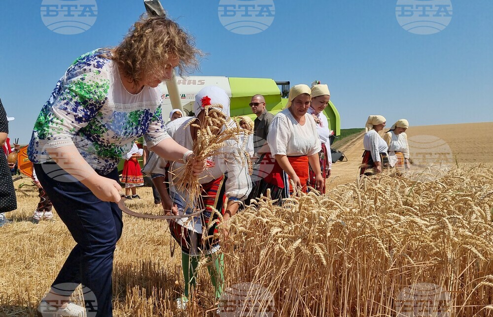 Село Манастирище - старт на жътвената кампания