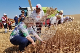 Село Манастирище - старт на жътвената кампания