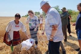 Село Манастирище - старт на жътвената кампания