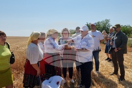 Село Манастирище - старт на жътвената кампания