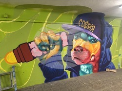 Подлезът при Южния парк се превръща в градска галерия с творби от над 40 артисти. Снимка: Sofia Graffiti Tour