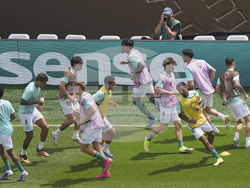 CWC Palmeiras Botafogo Soccer