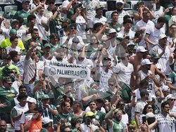 CWC Palmeiras Botafogo Soccer