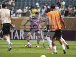 CWC Palmeiras Botafogo Soccer