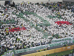 CWC Palmeiras Botafogo Soccer