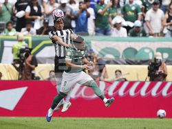CWC Palmeiras Botafogo Soccer