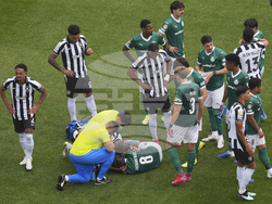 CWC Palmeiras Botafogo Soccer
