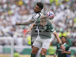 CWC Palmeiras Botafogo Soccer