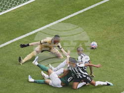 CWC Palmeiras Botafogo Soccer
