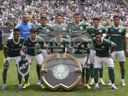 CWC Palmeiras Botafogo Soccer
