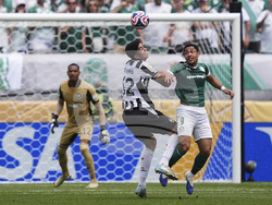 CWC Palmeiras Botafogo Soccer