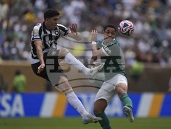 APTOPIX CWC Palmeiras Botafogo Soccer