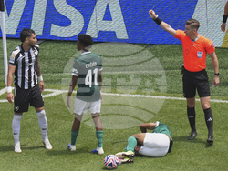 CWC Palmeiras Botafogo Soccer