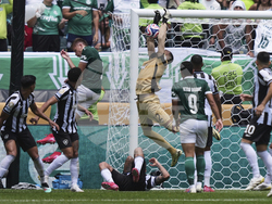 CWC Palmeiras Botafogo Soccer