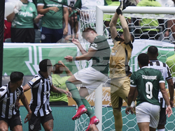 CWC Palmeiras Botafogo Soccer