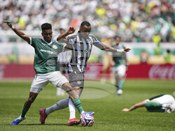 CWC Palmeiras Botafogo Soccer