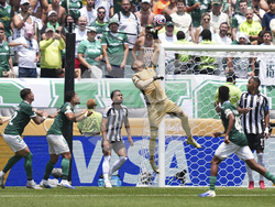 CWC Palmeiras Botafogo Soccer